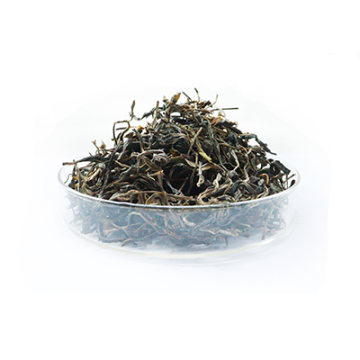 Yunnan yiwu antico albero tè verde secco