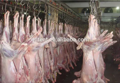 Full automatic sheep mutton slaughter equipment
