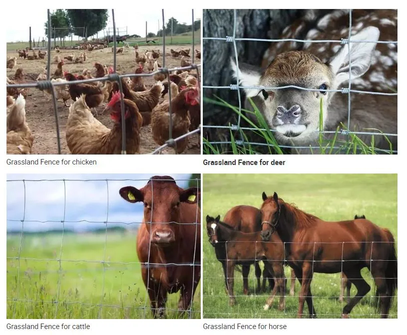 Fazenda de malha de arame com nó galvanizada/cerca de campo para criação de pastagens