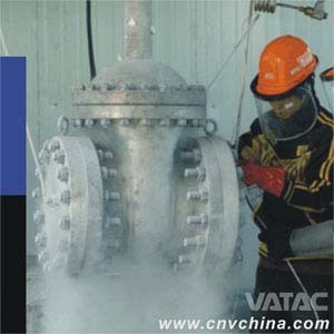 Vatac Cast & Forged Cryogenic Gate Valve