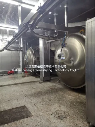 Fig Freeze Drying Machine