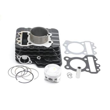 Factory Wholesale 54MM Cylinder Block OEM No: DS101402/DS101360 for Discover 125 DTS-i
