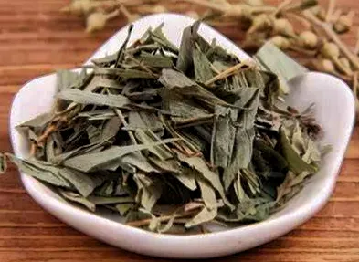 Premium Lophatherum Herb Extract