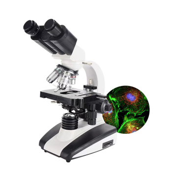 1000x Binocular Trinocular Laboratory Optical Microscope XSZ-107BN