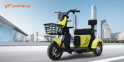 Adult Electric Tricycle Factory Support Tuk Tuk Electric