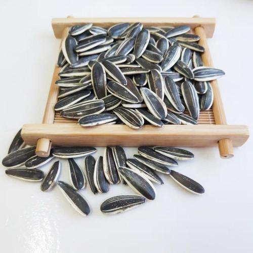 Healthy Raw Sunflower Seeds With Good Reputation