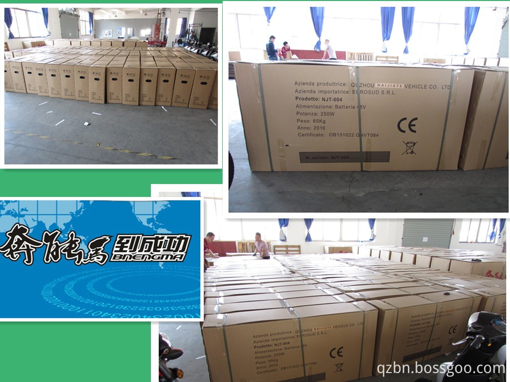 Lead Acid Battery Electric Motorcycle