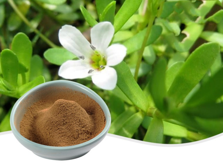Bacopa monnieri extract (1)