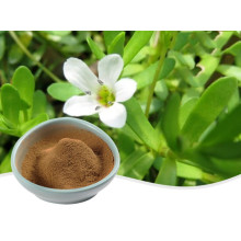 Bacopa Monnieri Extract Bacopasides Powder