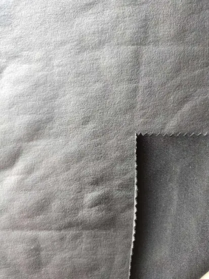 Rayon Nylon Span Ponte  Roma(Coating)