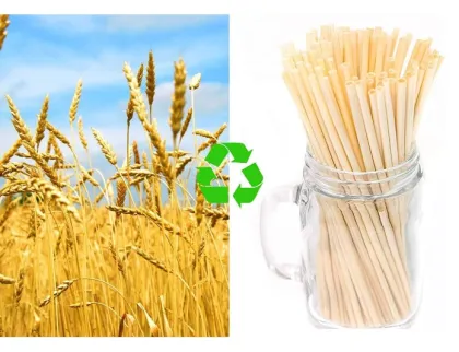 ECO Friendly Wheat Straw Biodegradable Drinking Straws