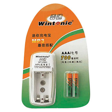 Rechargeable Batteries