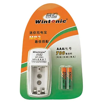 Rechargeable Batteries