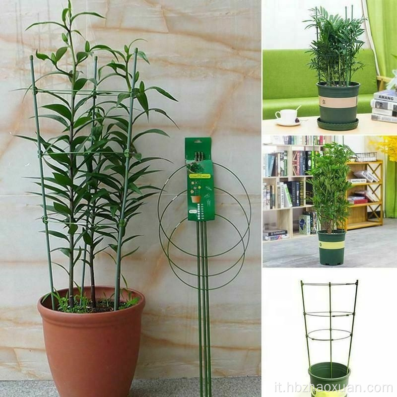 Supporto per impianti di arrampicata Trellis Tomato Flower 3 Anelli
