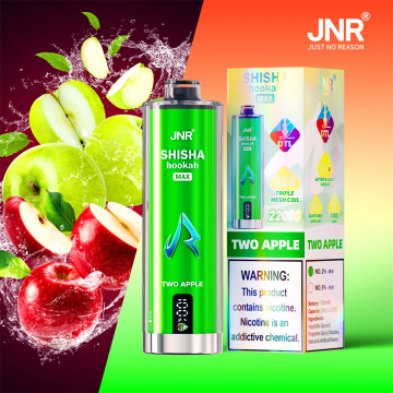JNR Shisha Max 22000 Disposable Vape Wholesale France