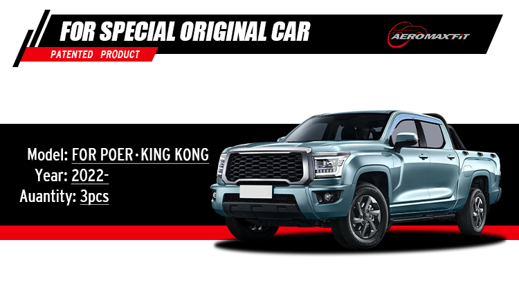 2022- GWM Poer kingKong floor mats_07