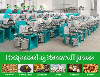 6YL125 Rapeseed Sunflower Seed Oil Press Machine - Oil Extraction Equipment