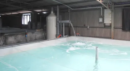 Raw Water Treatment system