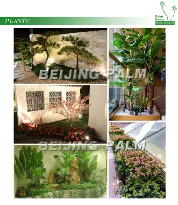 Outdoor royal coconut palm tree for outdoor landscape decoration