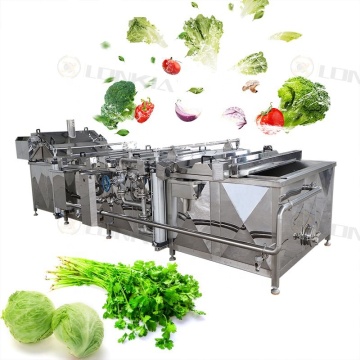 High Efficiency Automatic Potato Chips & Vegetable Steam Blanching Machine for Sale