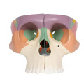 /msite/products/detail/productid/63611690/id/1517769.html