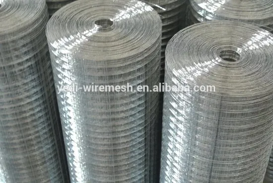 stainless steel welded wire mesh(anping factory supply)