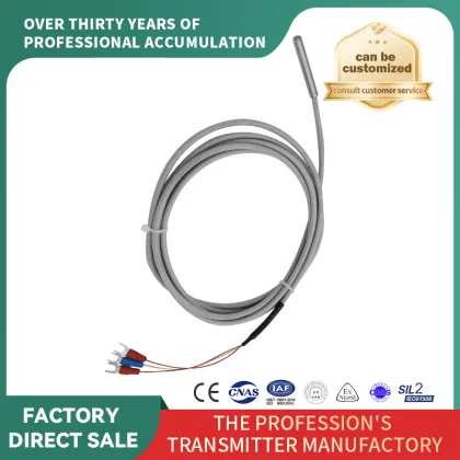 Thermal Resistance Temperature Sensor