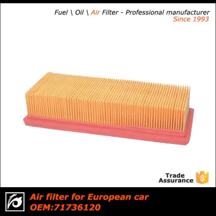 China auto air filter/car air filter/air filter