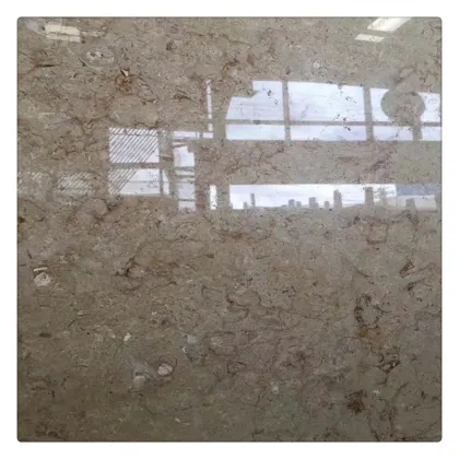 Affordable Gold Rose Marble by Gohare Harry