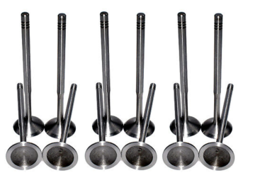 Direct Fit Intake Valve