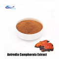 Natural Polysaccharides 30% Antrodia Camphorata Extract