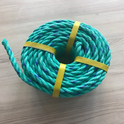 PP PE Qualified Fishing Nets and Ropes with Floats