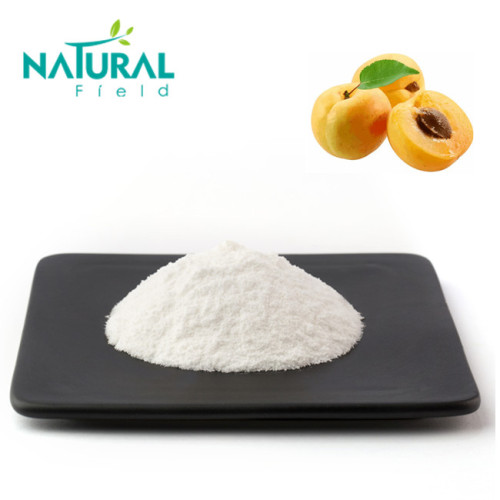 Anti-Cancer Health Ingredients Bitter Apricot Seed Extract 99% Amygdalin HPLC Supplier