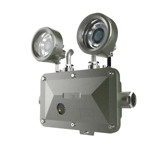 ATEX 2*3W LED Explosion Proof Light - Ex-Proof Emergency Lighting