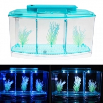 Aquariums & Fish Bowls  2021-4