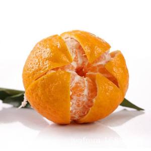 Baladi 5 kg caixa de tangerina laranjas