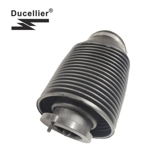 Rear Air Suspension Spring for Toyota Prado 120 OEM 48090-35011 48080-35011