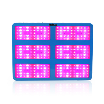 Sinjialight 3000W Blue Shell Six Lens Full Spectrum LED Grow Light Panel for Greenhouse Indoor Growing Factory