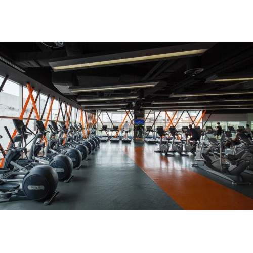 PVC Gym dan lantai bilik kecergasan