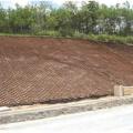 Kunststoff Geoweb HDPE Geosynthetikmaterialien