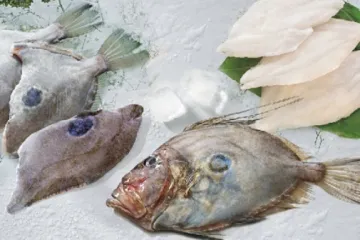 Fresh frozen John Dory