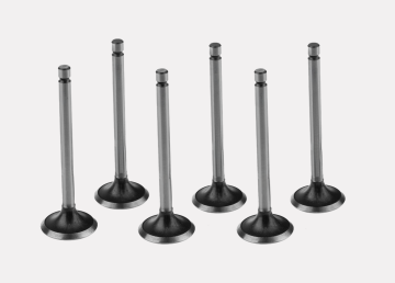 High-Performance Intake Valve Set