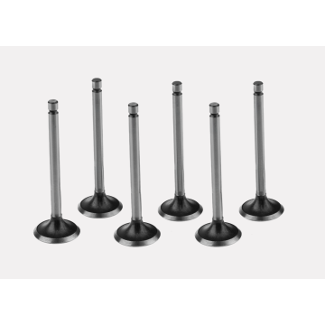96307816 Intake Valve for Engine