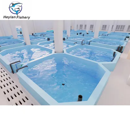Commercial RAS Aquaculture for Tilapia and Salmon Farming