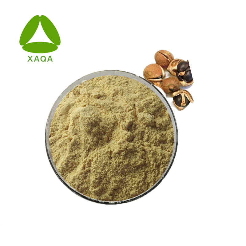 Top Tea Seed Extract Tea Saponin 60%