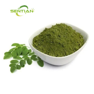 Pure Natural Moringa Oleifera Leaf Extract Powder