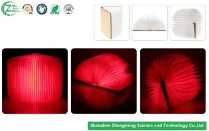 Environmental Protection Wood Lumio Book Lamp