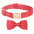 pet collar with print 2