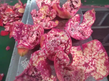Pomegranate Peel Removal Machine for Juice Processing