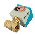 TMOK 220V Electric Valve: 1.6MPa DN15-32 Two-way & Three-way Brass Electric Check Valve